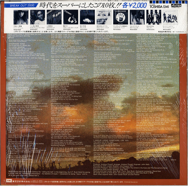 Kate Bush – The Kick Inside winyl | japońskie wydanie LP - obrazek 7